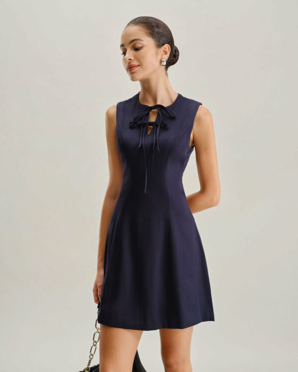 Blue Round Neck Sleeveless A-Line Mini Dress - Image 3