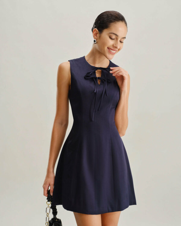 Blue Round Neck Sleeveless A-Line Mini Dress