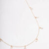 Rose &  Necklace