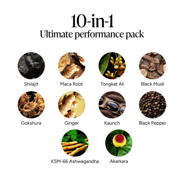 4000 mg Pure Himalayan Shilajit | No Added Sugar | KSM-66 Ashwagandha, Tongkat Ali, Gokshura & Black Musli | Vegan, Non-GMO, Individually Wrapped | 60 Gummies | Lab Tested for Purity & 3.5X Absorption - Image 3